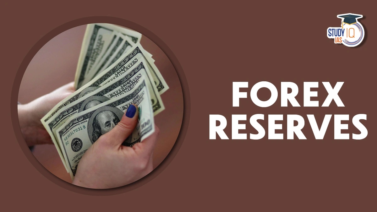 Why a Forex Reserves Boost Matters | The Big Picture