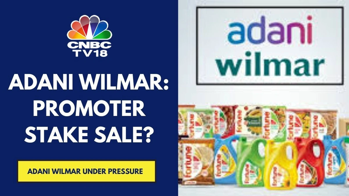 Why This Adani Stake Sale Matters – The Analyst’s Take