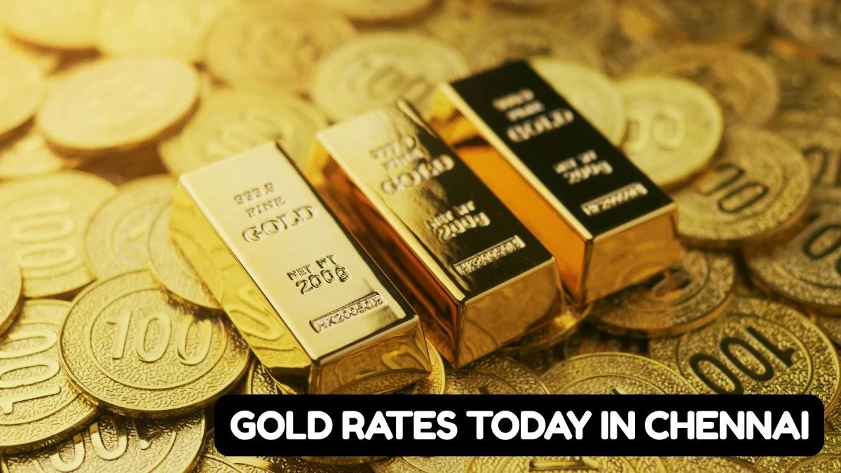 Decoding the Fed's Next Move and its impact on gold rates