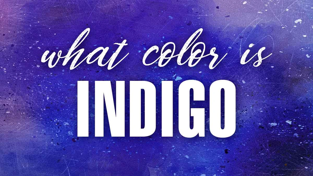Why Now? Decoding IndiGo's Big Move