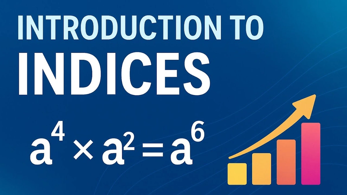Decoding the Optimism | What's Really Happening?